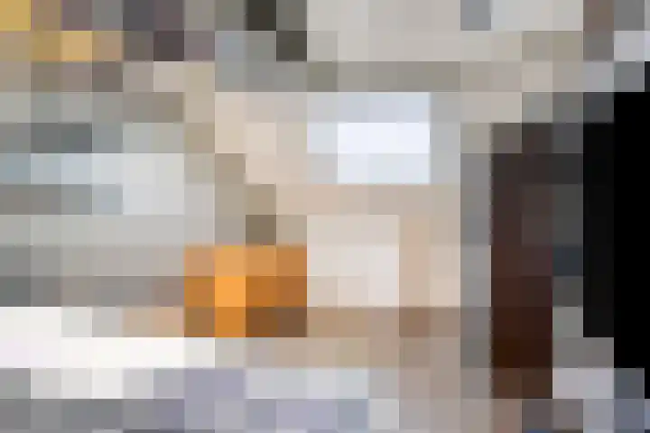 Topaasring 117 Eindhoven thumbnail 31