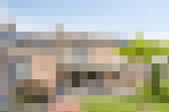 Topaasring 117 Eindhoven thumbnail 32