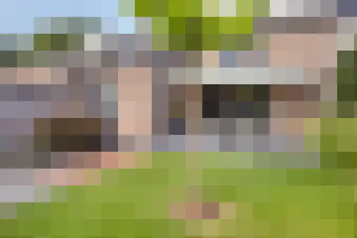 Topaasring 117 Eindhoven thumbnail 33