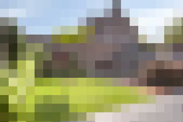 Topaasring 117 Eindhoven thumbnail 35