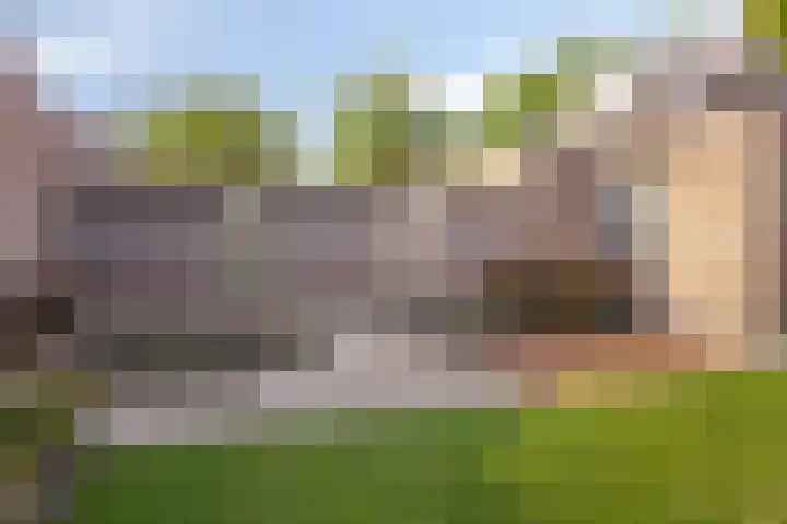 Topaasring 117 Eindhoven thumbnail 36