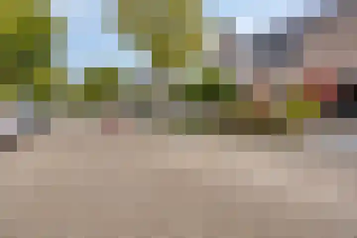 Topaasring 117 Eindhoven thumbnail 38