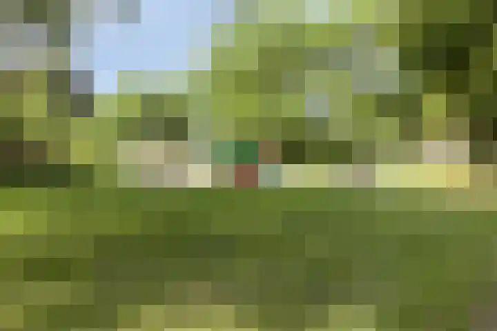 Topaasring 117 Eindhoven thumbnail 41