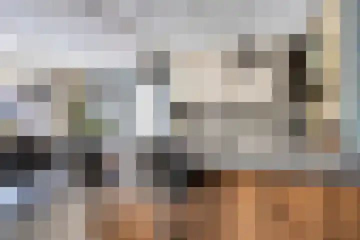 Topaasring 117 Eindhoven thumbnail 8