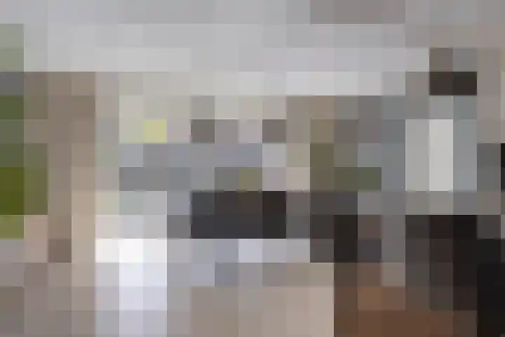 Topaasring 117 Eindhoven thumbnail 9