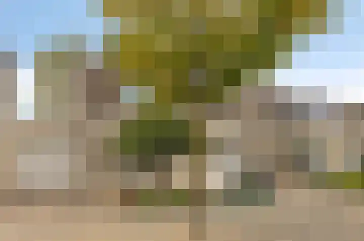 Topaasring 2 Eindhoven thumbnail 33