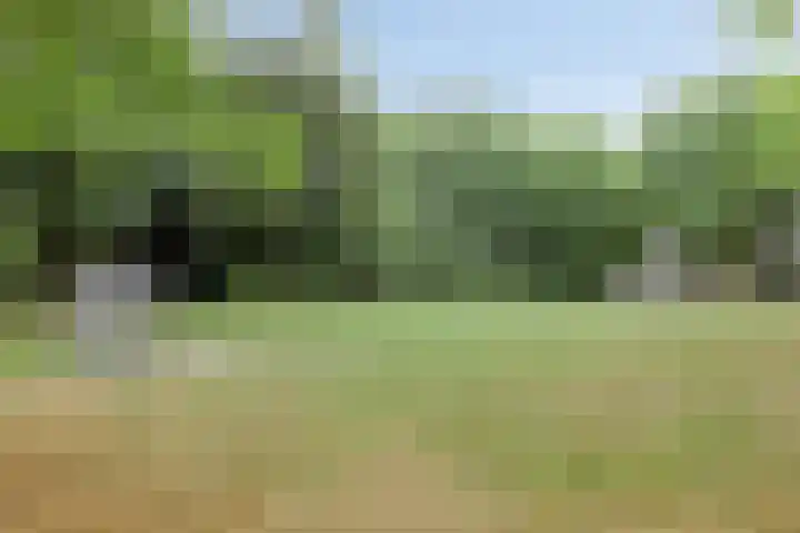 Topaasring 2 Eindhoven thumbnail 36