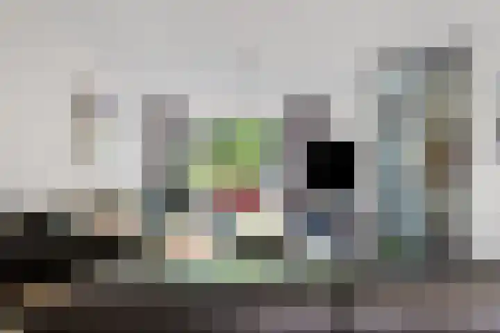 Topaasring 41 Eindhoven thumbnail 12