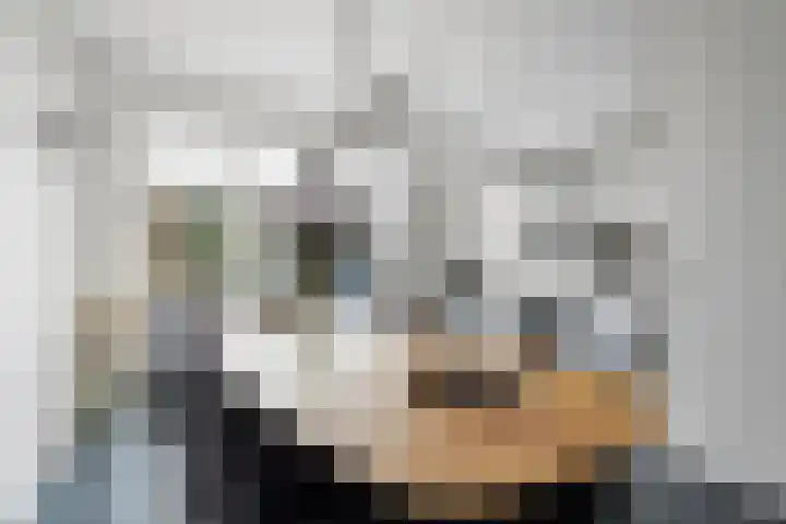 Topaasring 41 Eindhoven thumbnail 16
