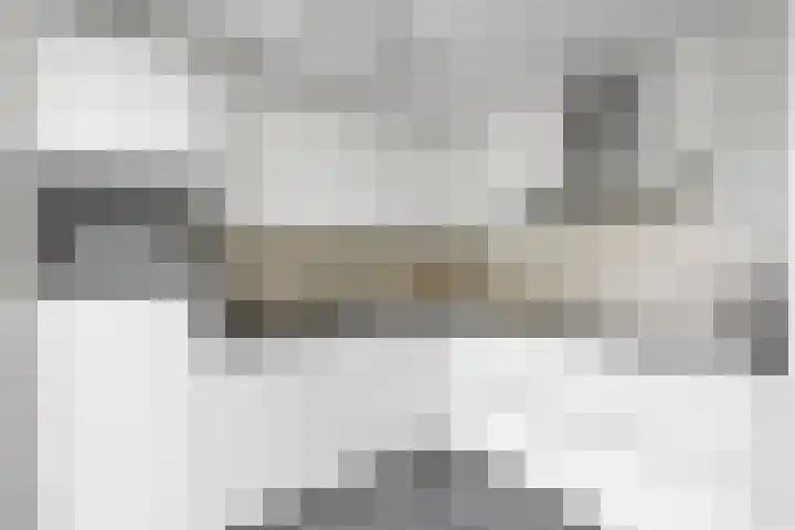 Topaasring 41 Eindhoven thumbnail 19