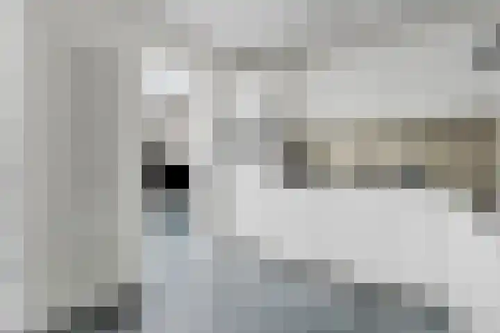 Topaasring 41 Eindhoven thumbnail 23