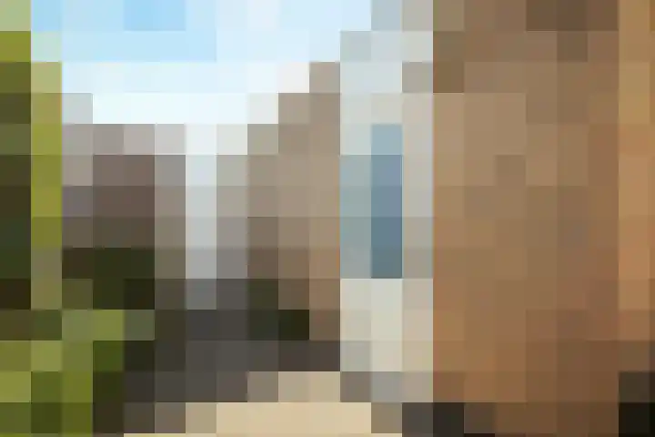 Topaasring 41 Eindhoven thumbnail 36