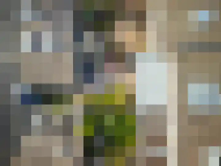 Topaasring 41 Eindhoven thumbnail 38