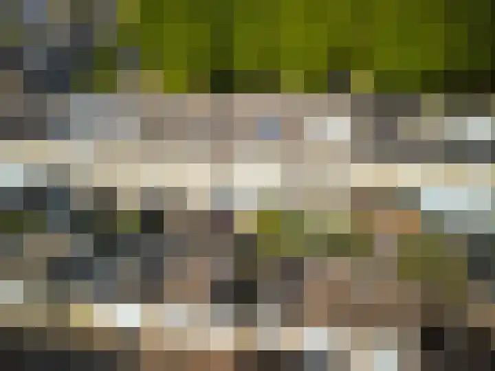 Topaasring 41 Eindhoven thumbnail 39