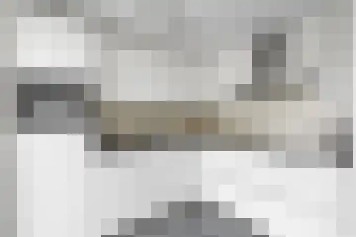 Topaasring 41 Eindhoven thumbnail 4