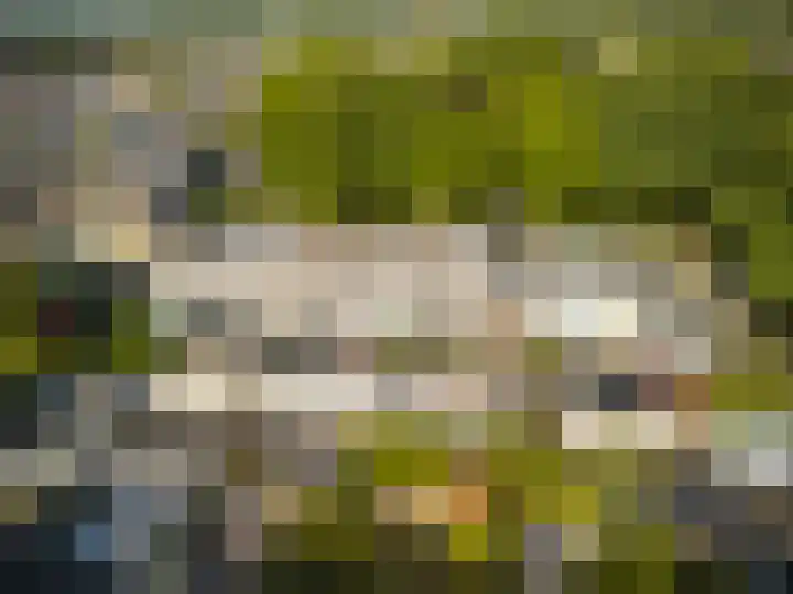 Topaasring 41 Eindhoven thumbnail 40
