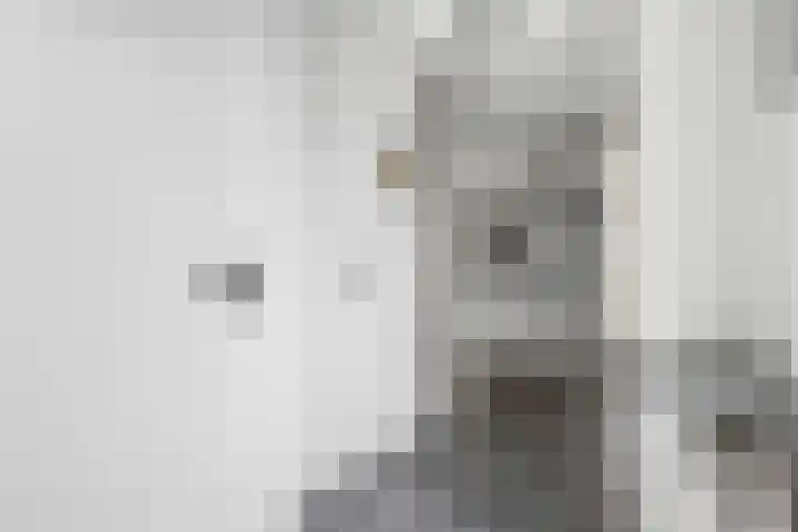 Topaasring 41 Eindhoven thumbnail 41