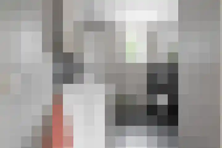 Topaasring 41 Eindhoven thumbnail 45