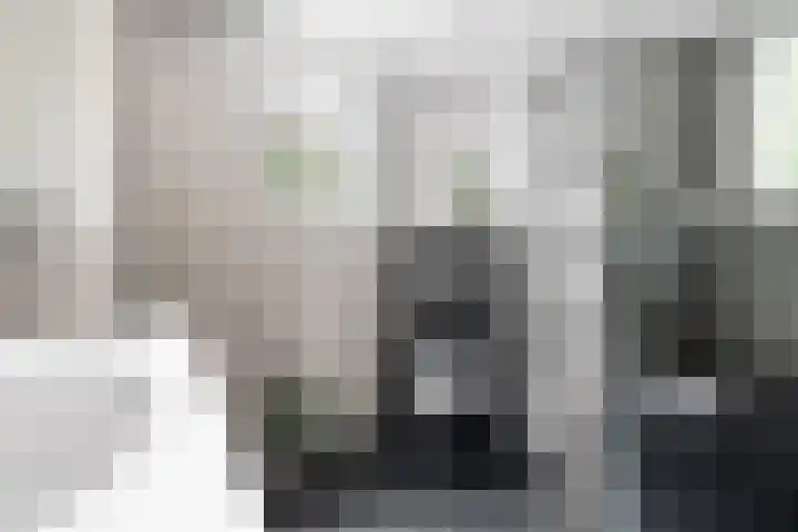 Topaasring 41 Eindhoven thumbnail 46