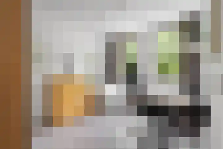 Topaasring 41 Eindhoven thumbnail 53