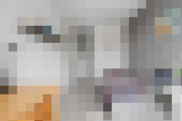 Topaasring 41 Eindhoven thumbnail 57