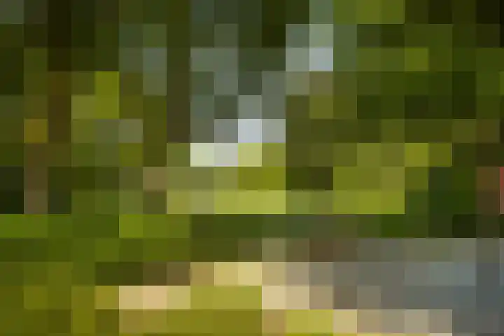 Topaasring 41 Eindhoven thumbnail 66