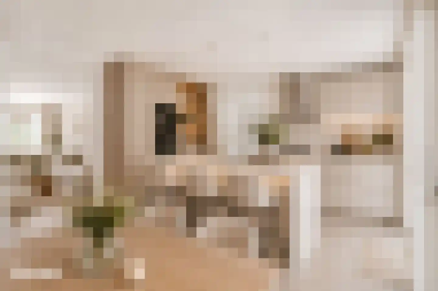 Topaasring 59 Eindhoven thumbnail 17