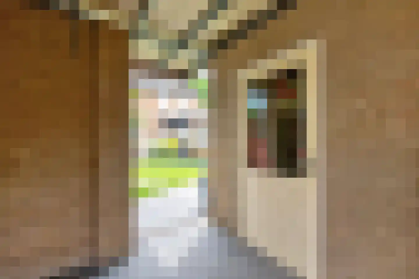 Topaasring 73 Eindhoven thumbnail 24