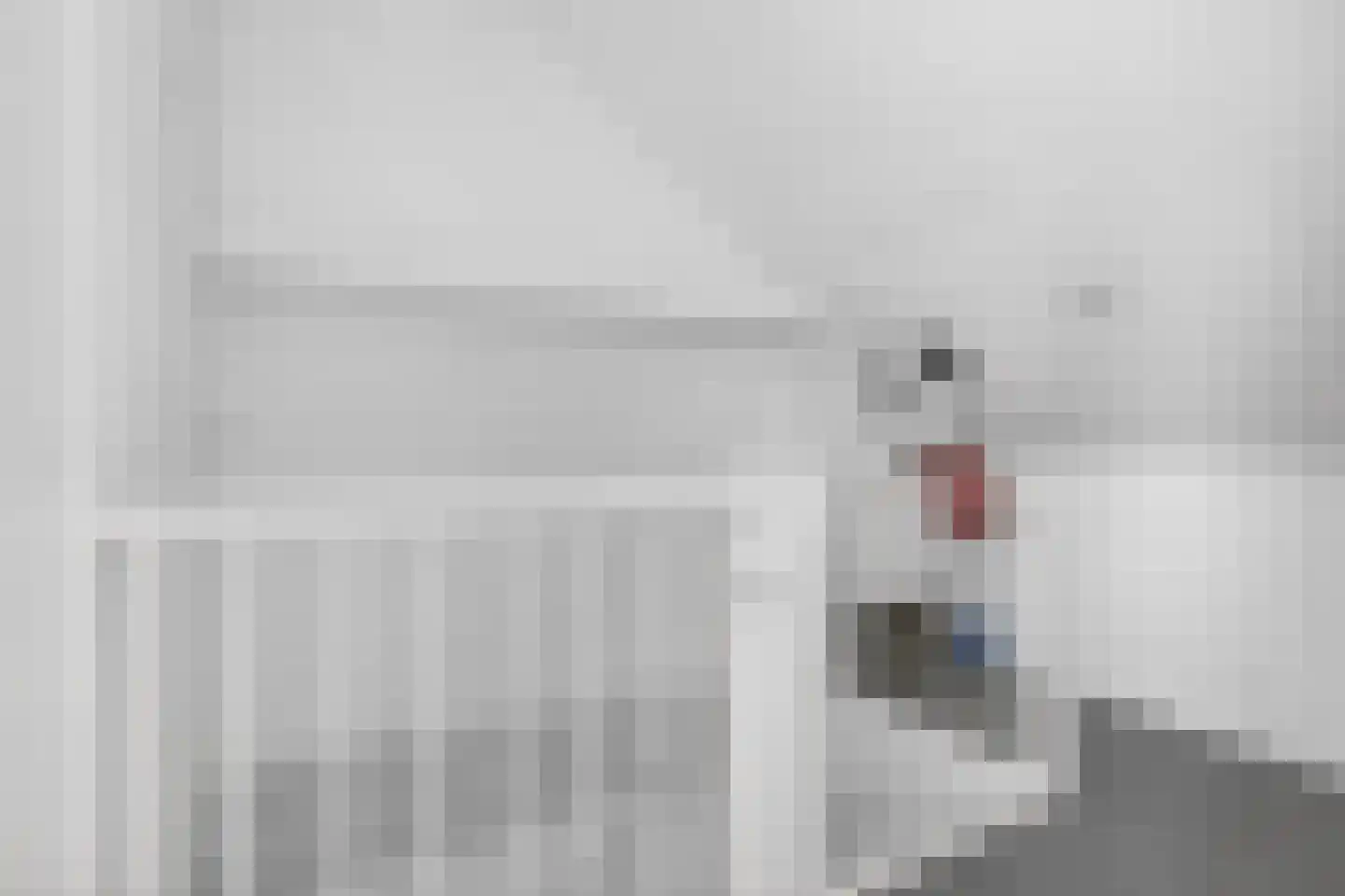 Topaasring 73 Eindhoven thumbnail 39