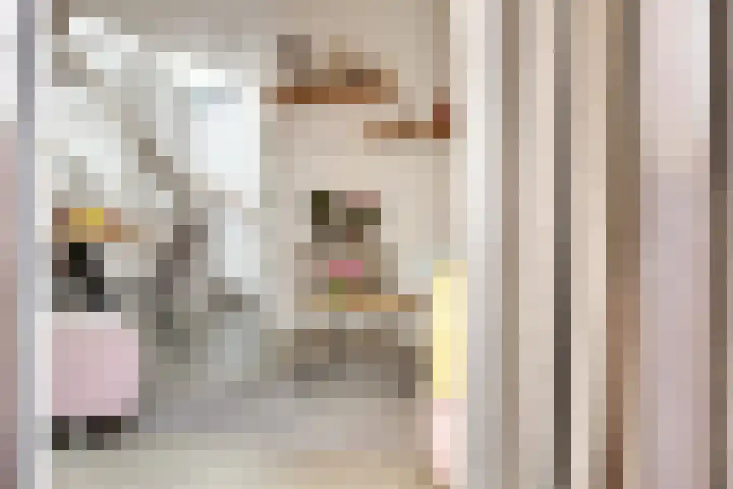 Topaasstraat 1 Ede thumbnail 12