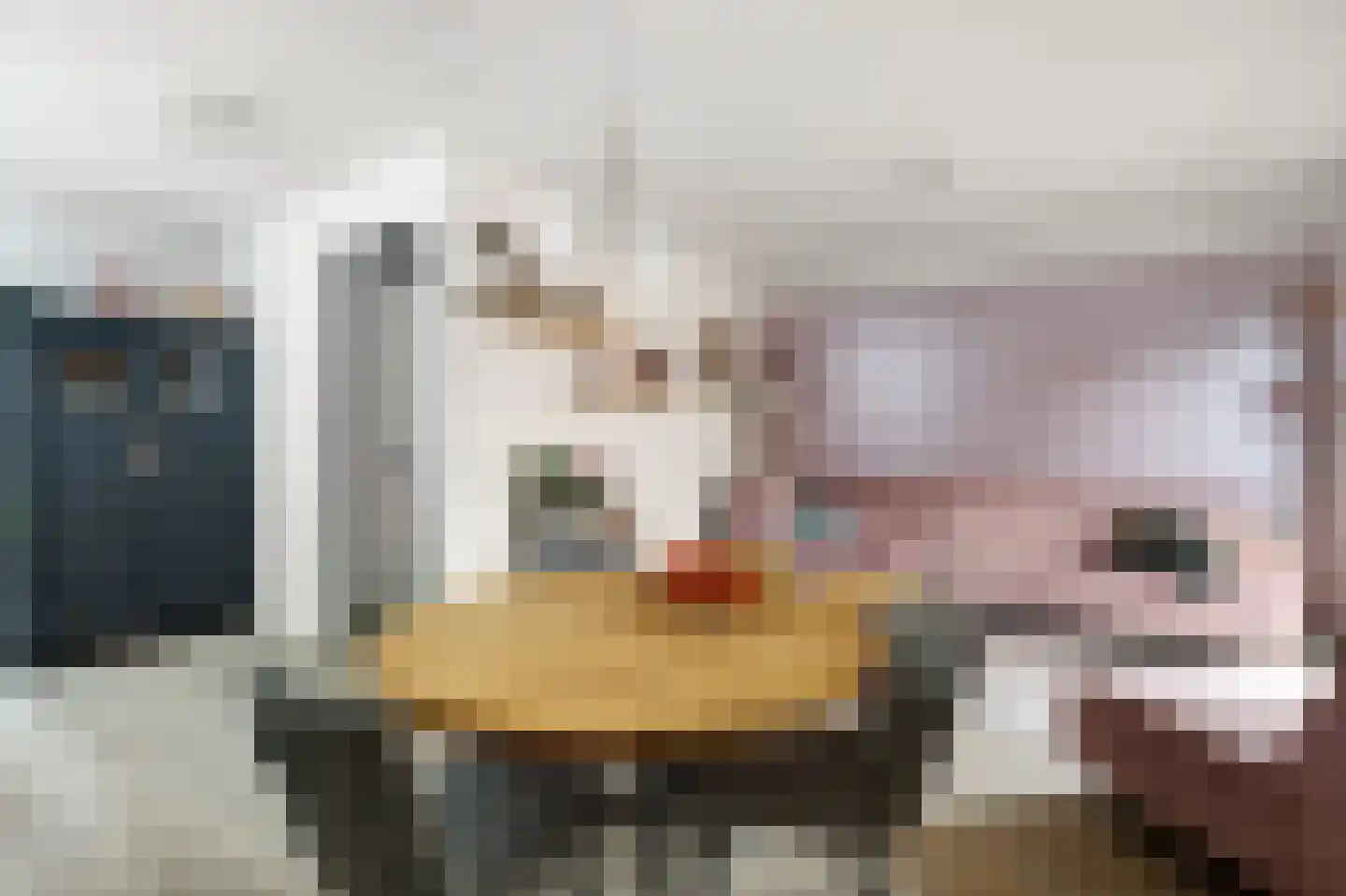 Topaasstraat 1 Ede thumbnail 14