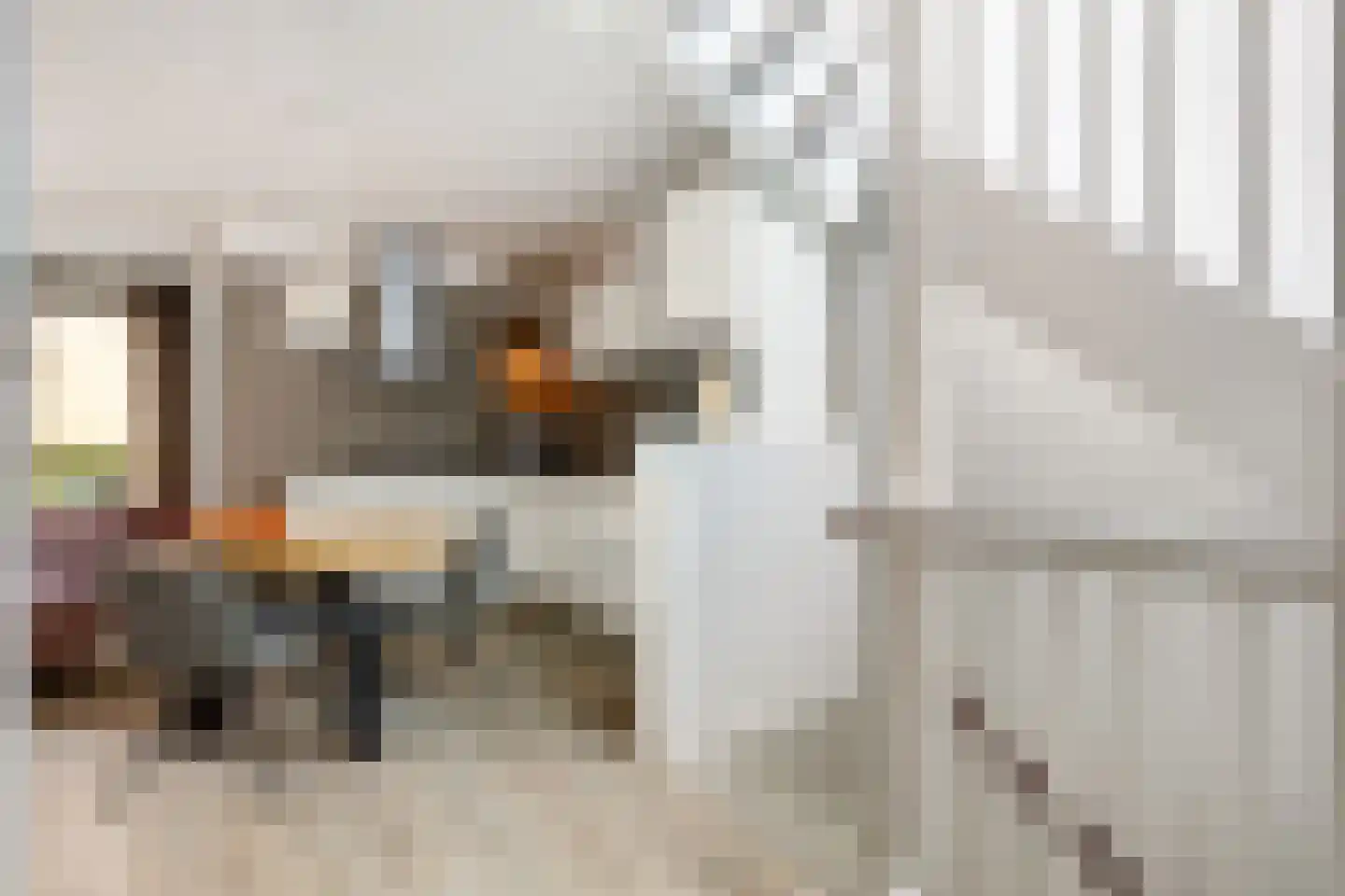 Topaasstraat 1 Ede thumbnail 16