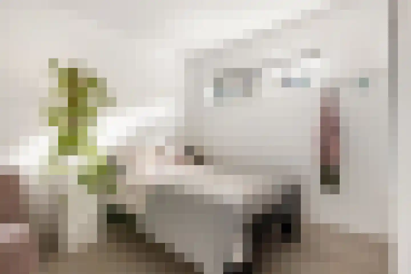 Topaasstraat 1 Ede thumbnail 18