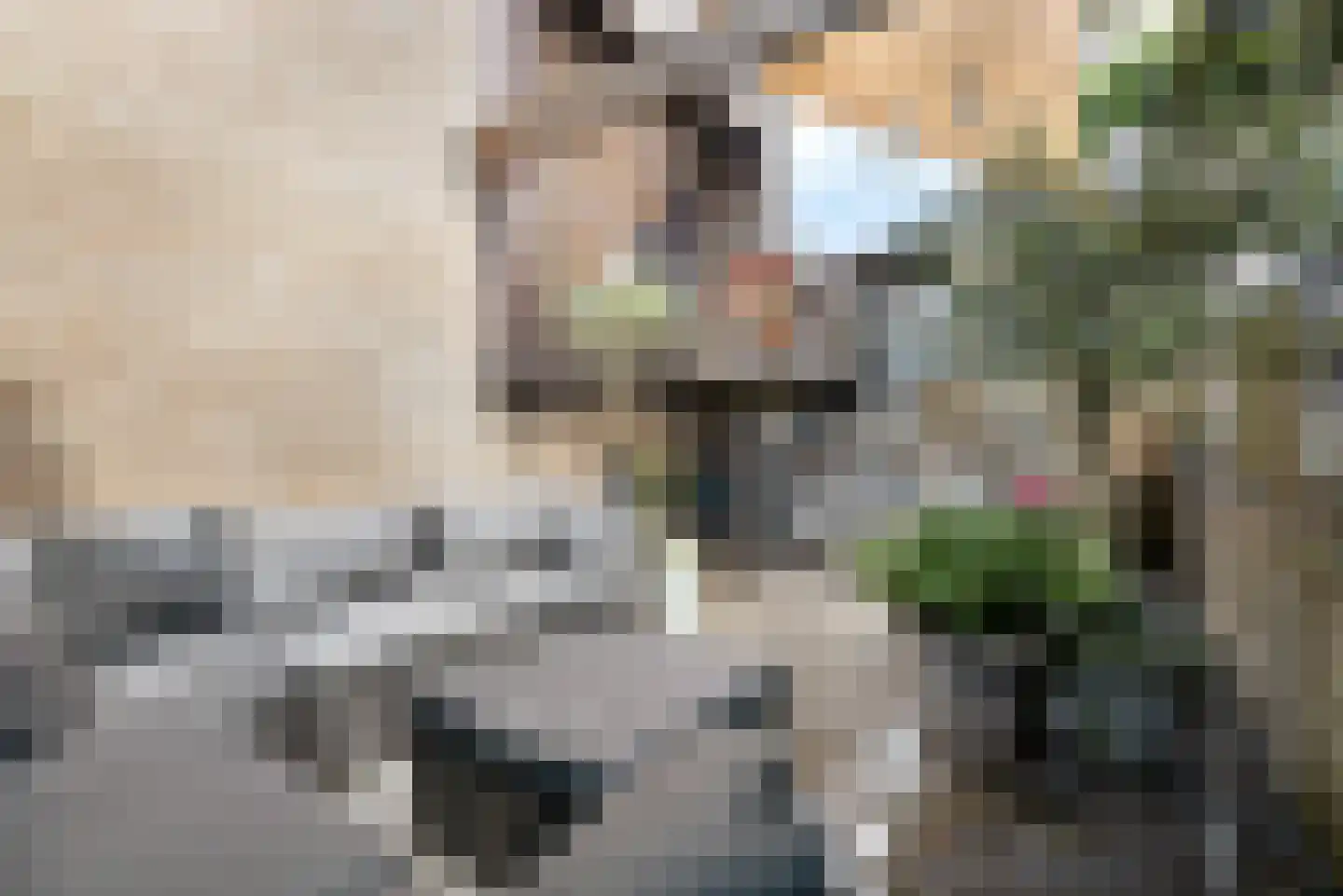 Topaasstraat 1 Ede thumbnail 31