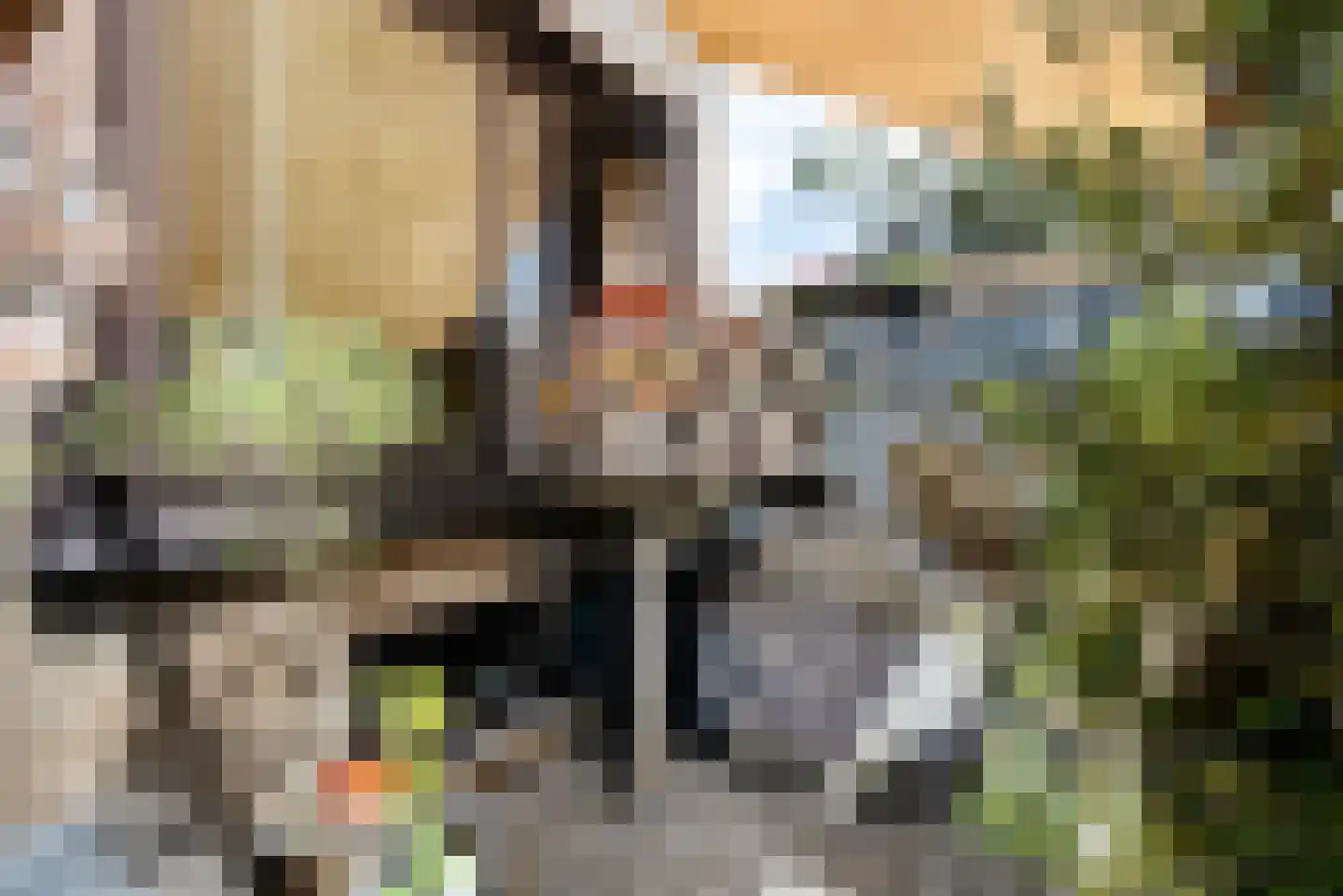 Topaasstraat 1 Ede thumbnail 32