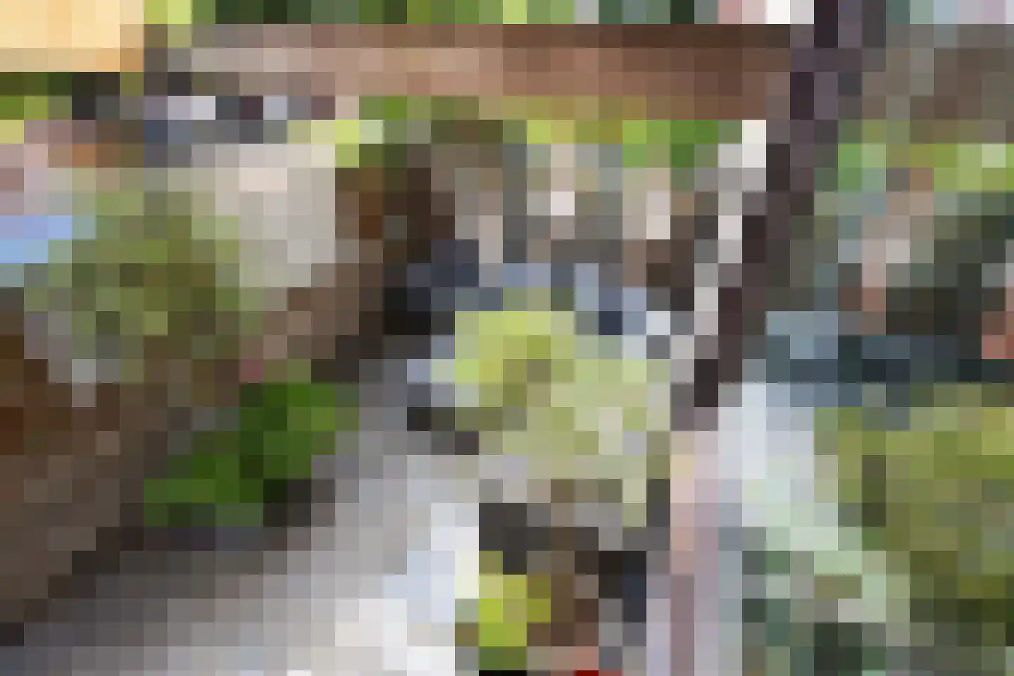 Topaasstraat 1 Ede thumbnail 33
