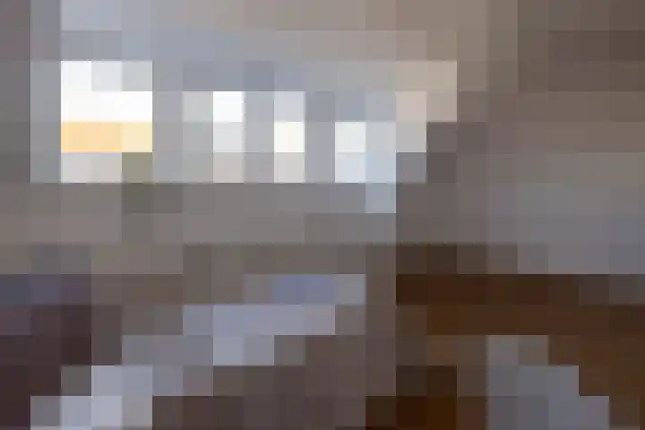 Topaasstraat 10 B Rotterdam thumbnail 28