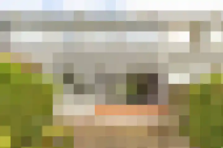 Topaasstraat 10 Groningen thumbnail 31