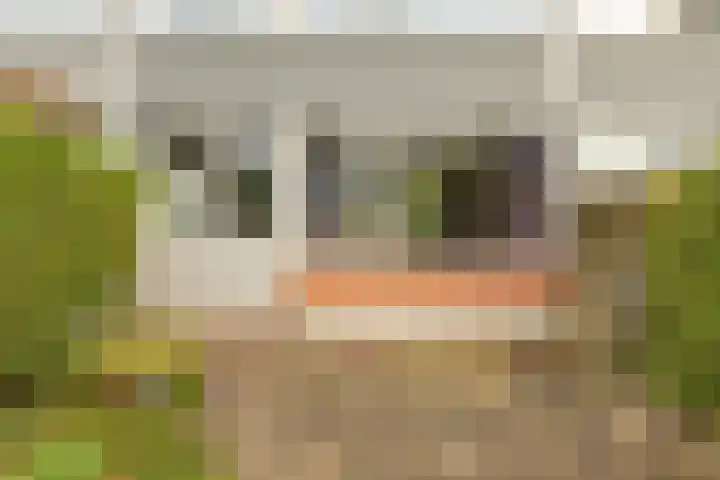 Topaasstraat 10 Groningen thumbnail 32
