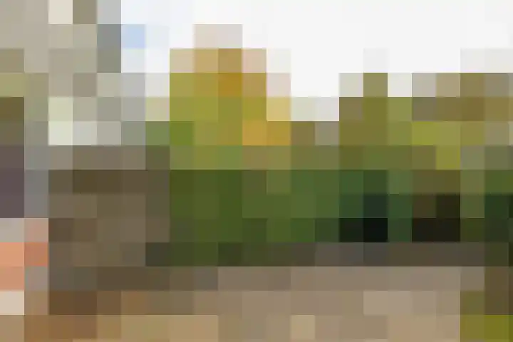 Topaasstraat 10 Groningen thumbnail 33