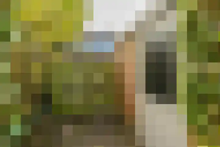 Topaasstraat 10 Groningen thumbnail 34
