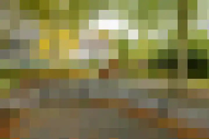 Topaasstraat 10 Groningen thumbnail 35