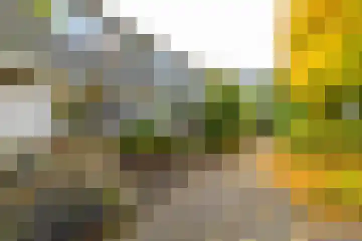 Topaasstraat 10 Groningen thumbnail 36