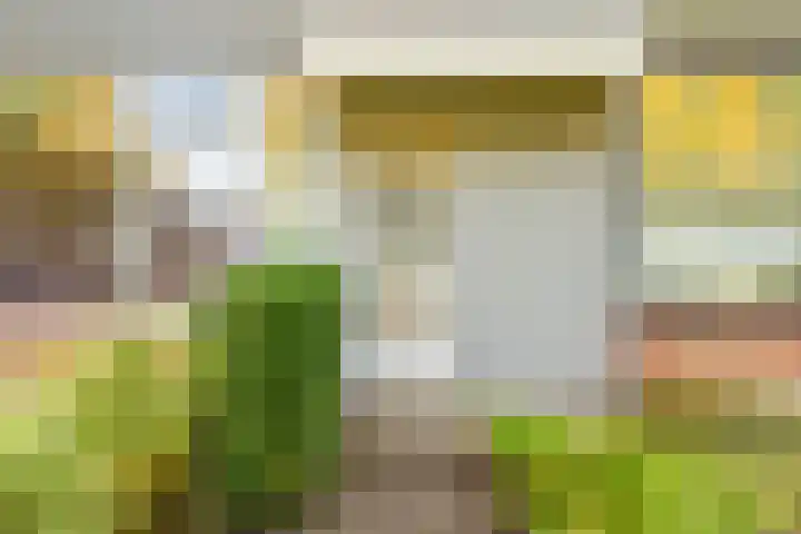 Topaasstraat 10 Groningen thumbnail 5