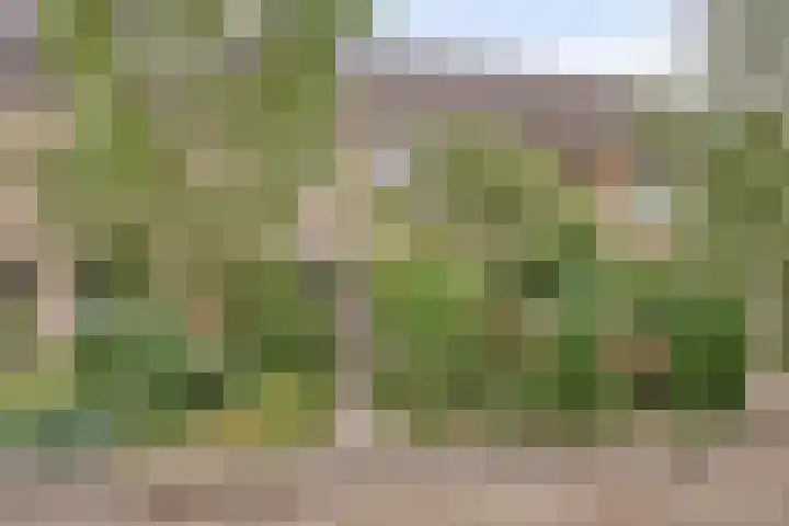 Topaasstraat 12 Apeldoorn thumbnail 33