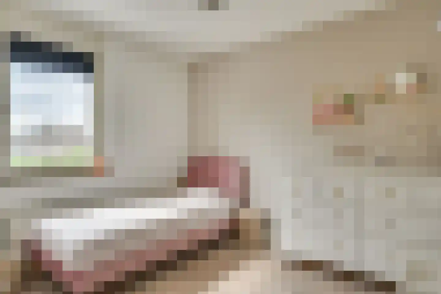 Topaasstraat 14 Helmond thumbnail 23