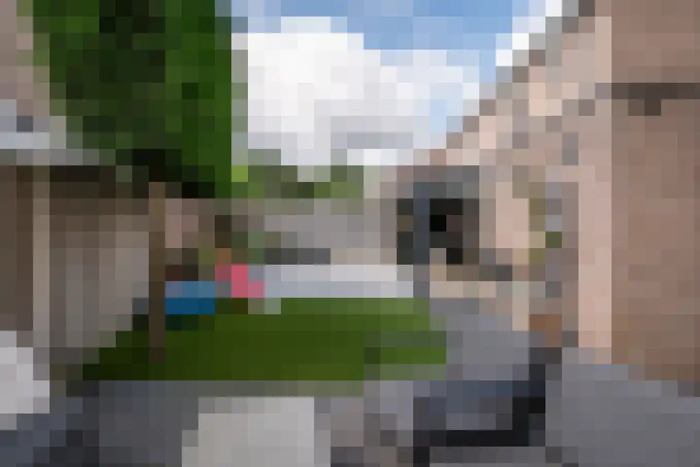 Topaasstraat 14 Helmond thumbnail 35