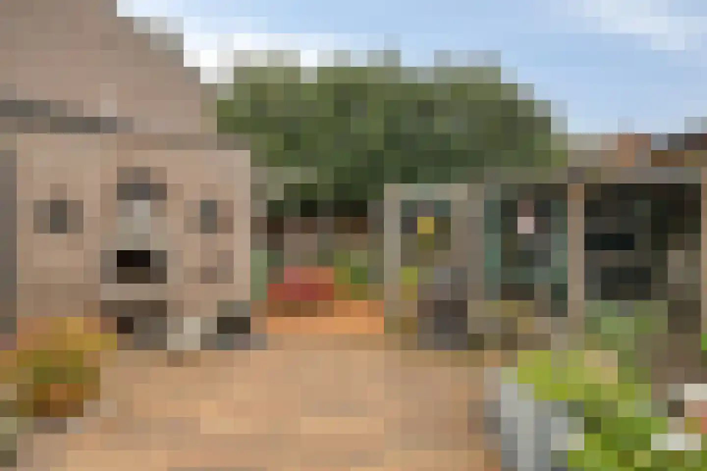 Topaasstraat 24 Helmond thumbnail 32