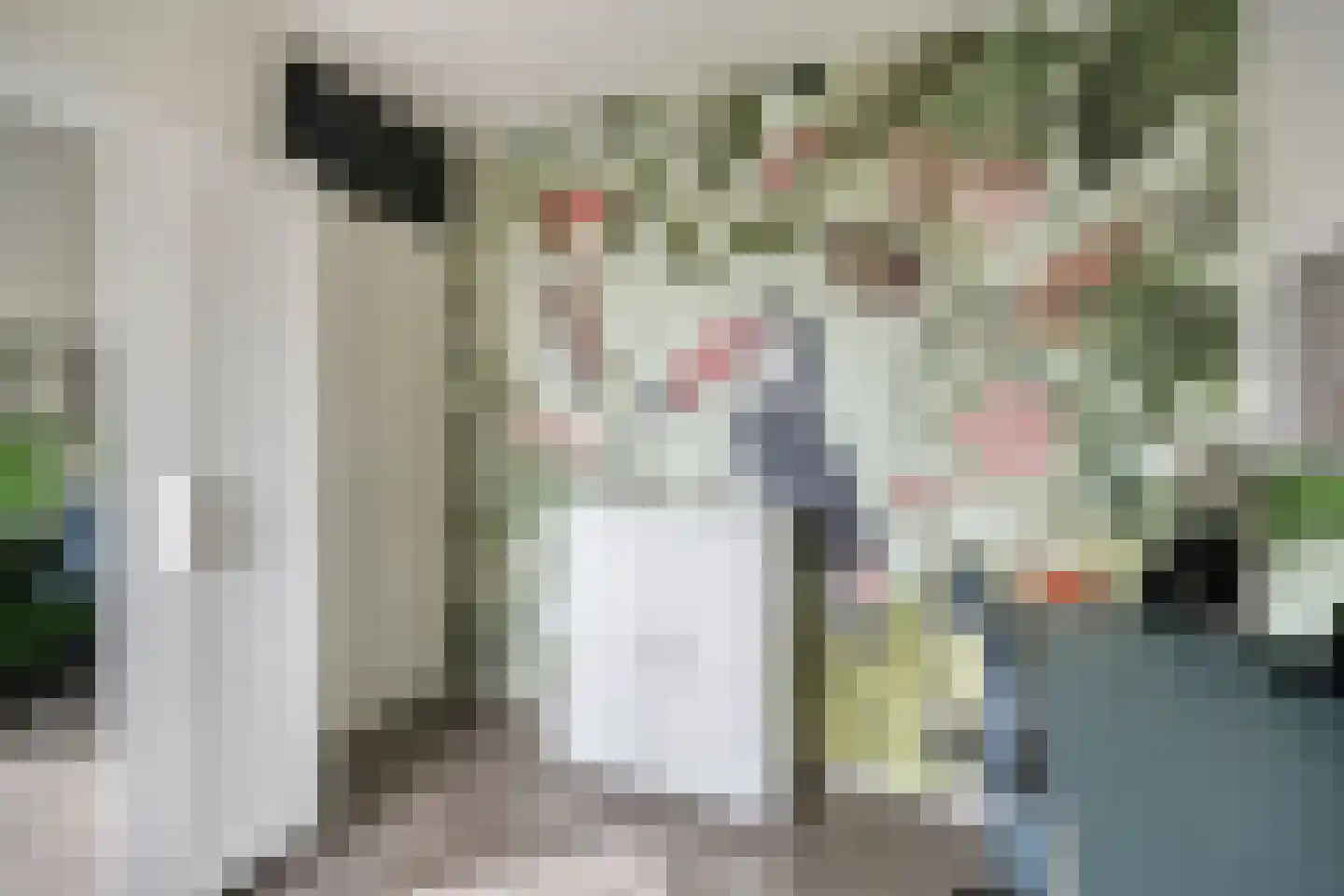 Topaasstraat 24 Helmond thumbnail 41