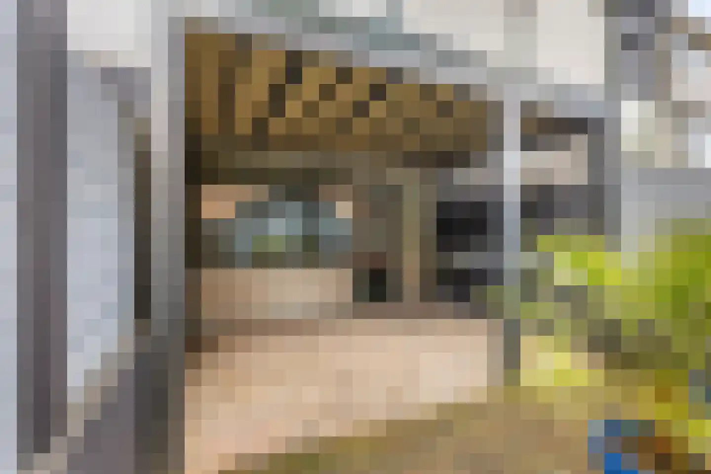 Topaasstraat 3 Groningen thumbnail 12